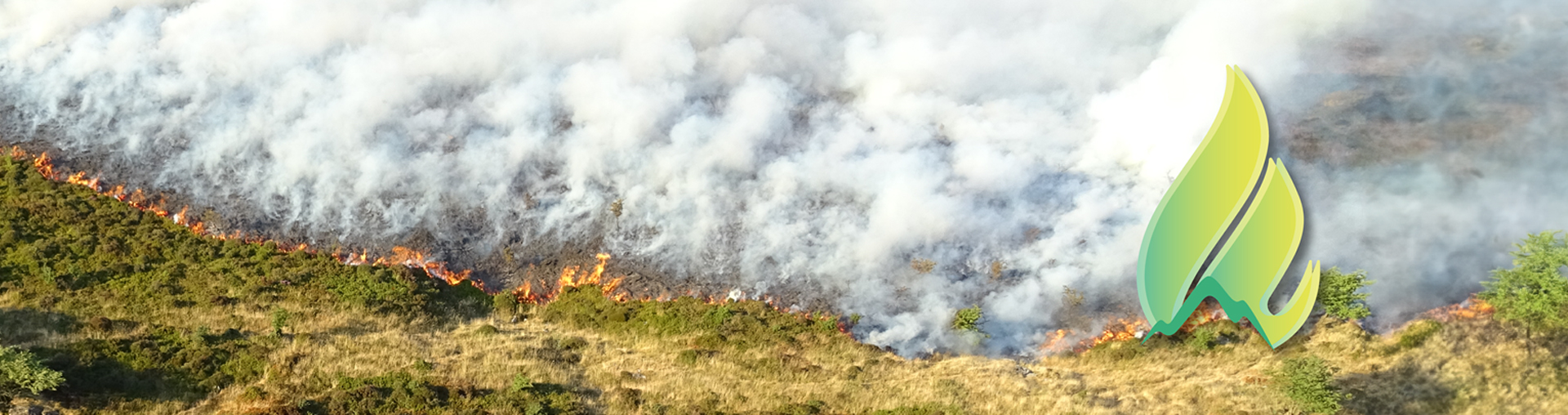 wildfire wildfire